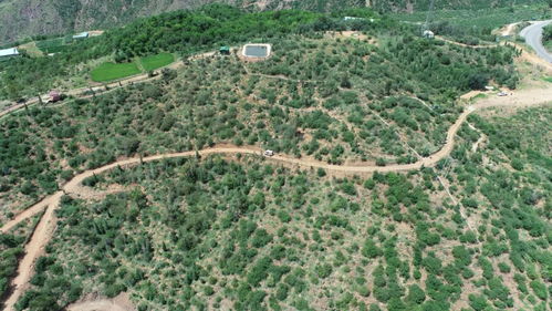 云南建投集團(tuán) 聚焦主業(yè)，以林業(yè)之力助推區(qū)域發(fā)展